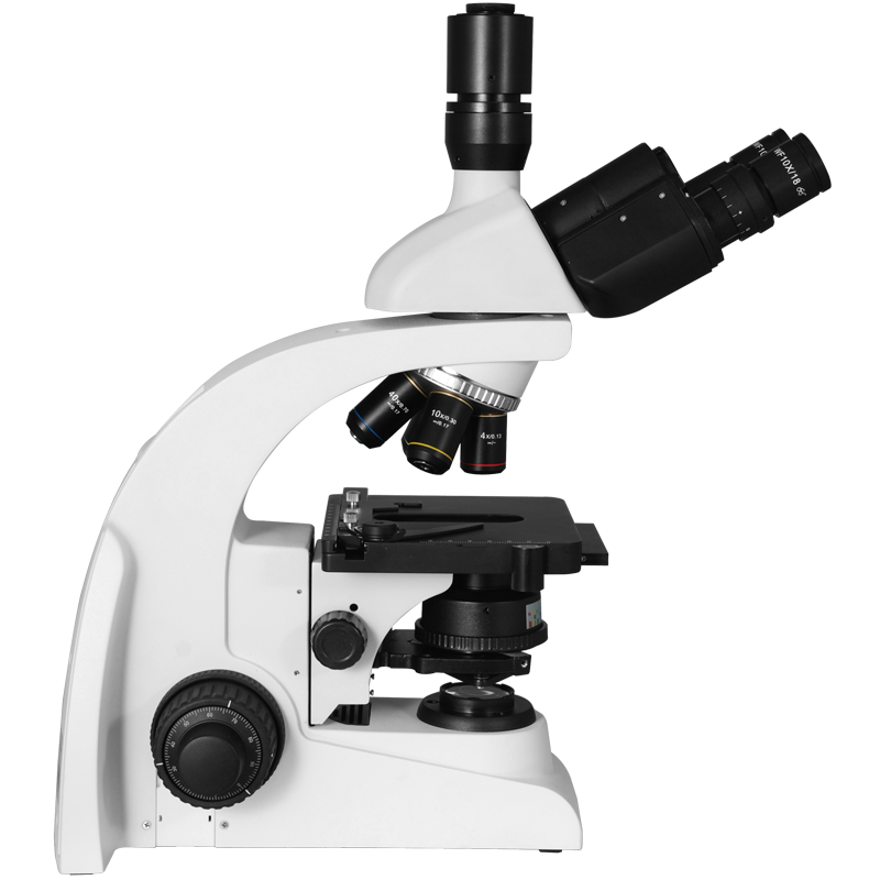 Biological Microscope